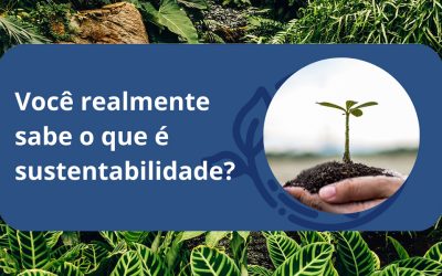 Você realmente sabe o que é sustentabilidade?